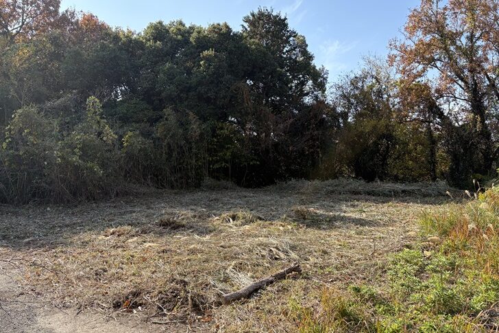 大矢野町登立／東満