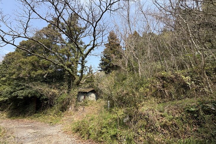 松島町教良木／大平