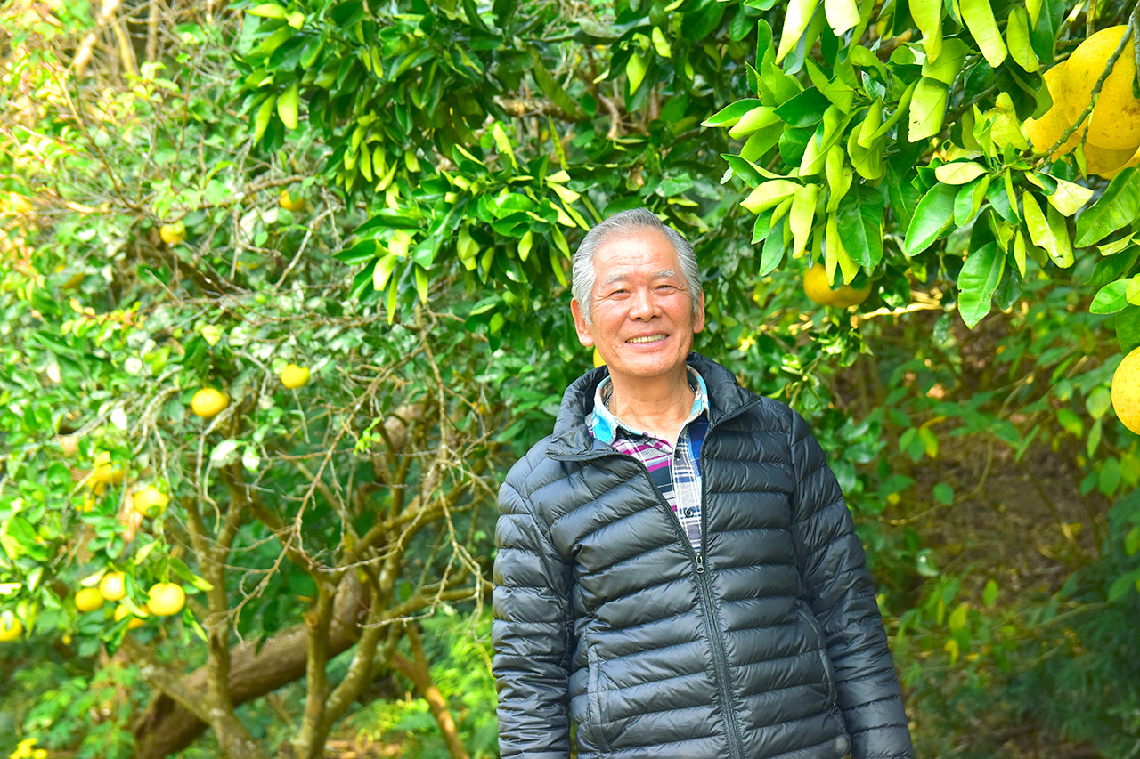 森の住人 ポイントで投票！モンストえらべるTシャツ 2025 結果発表